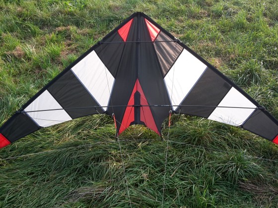 Hot Stripe - Space Kites?