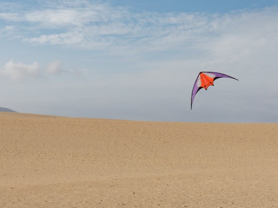 Minigem (Benson Kites)