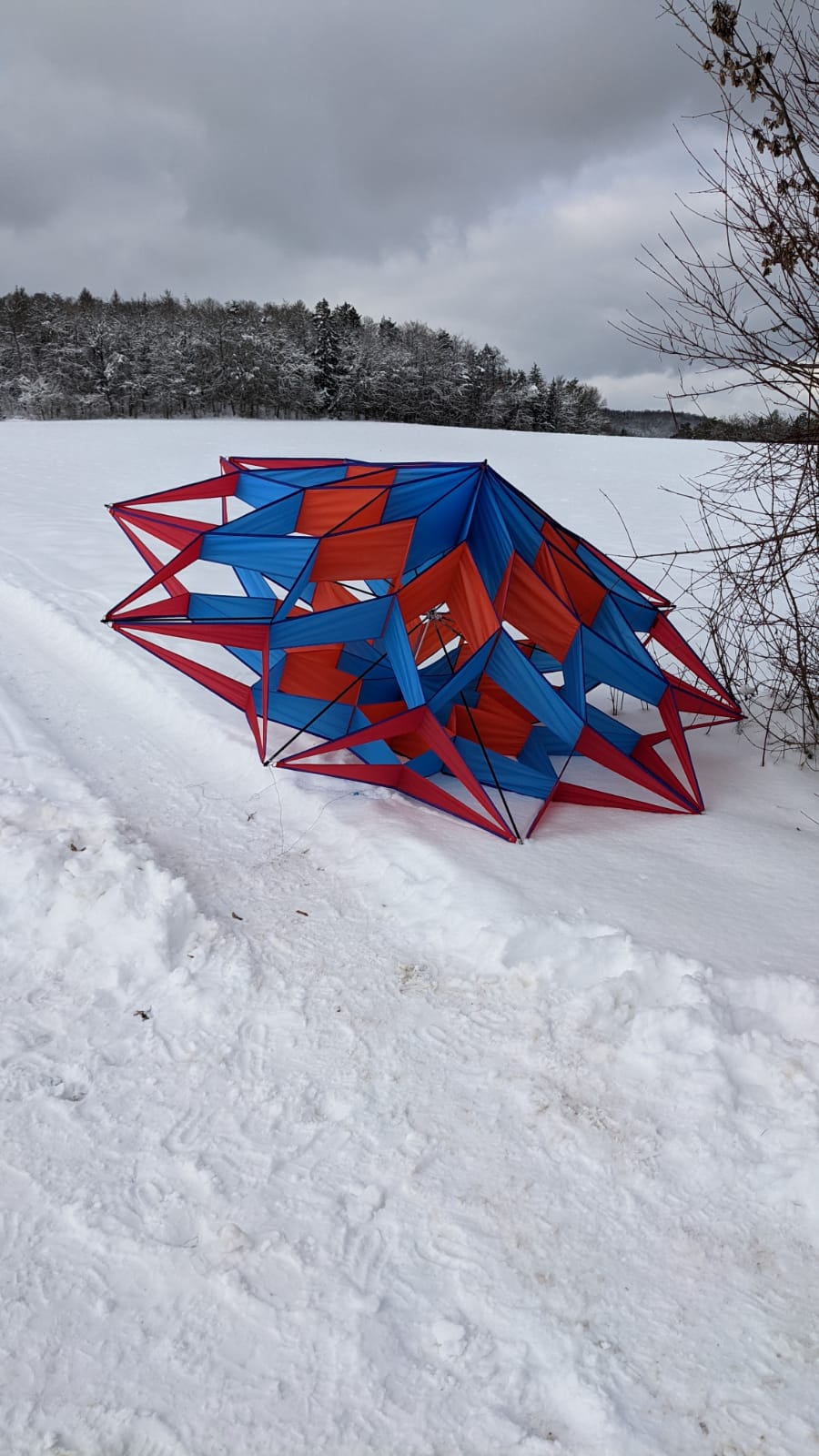 Double Star im Schnee