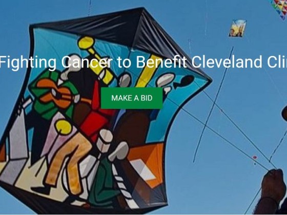 Kite Fighting Cancer  - Drachen gegen Krebs !