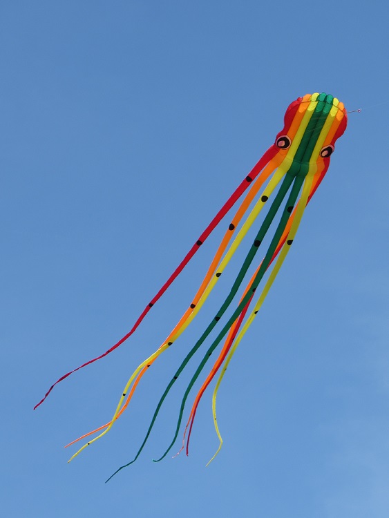 Krake 12 m