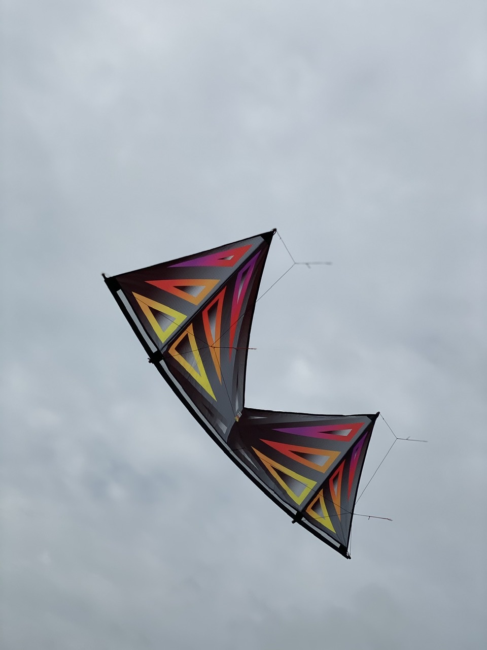 Polo Kites Standard