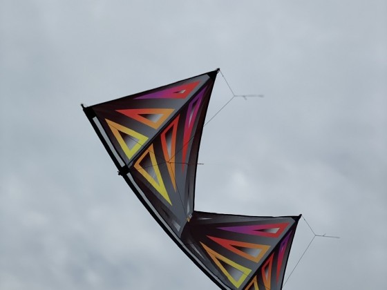 Polo Kites Standard