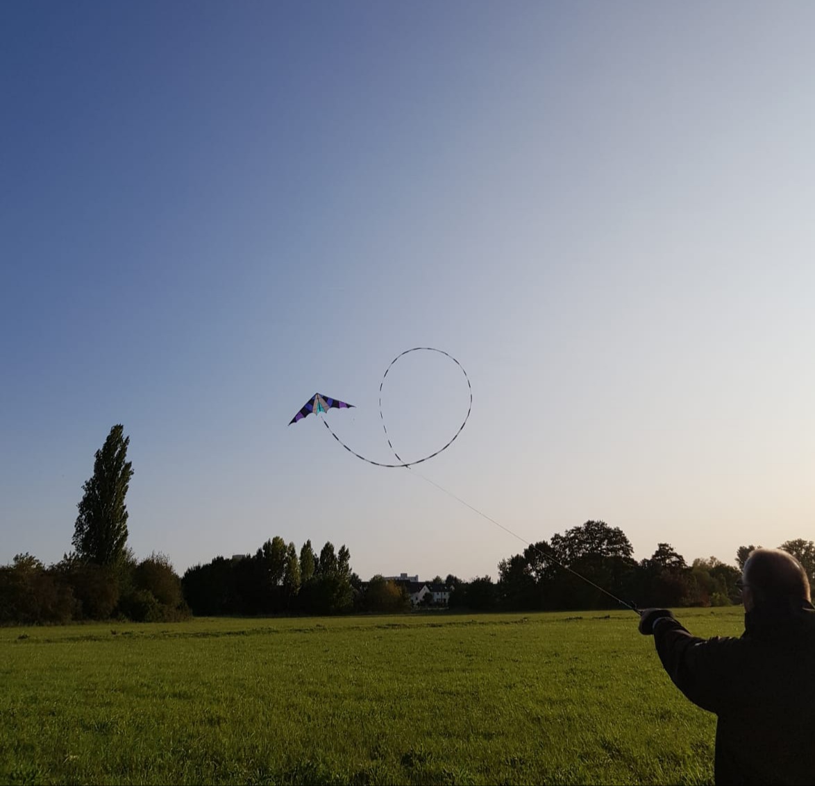 Meine Drachen