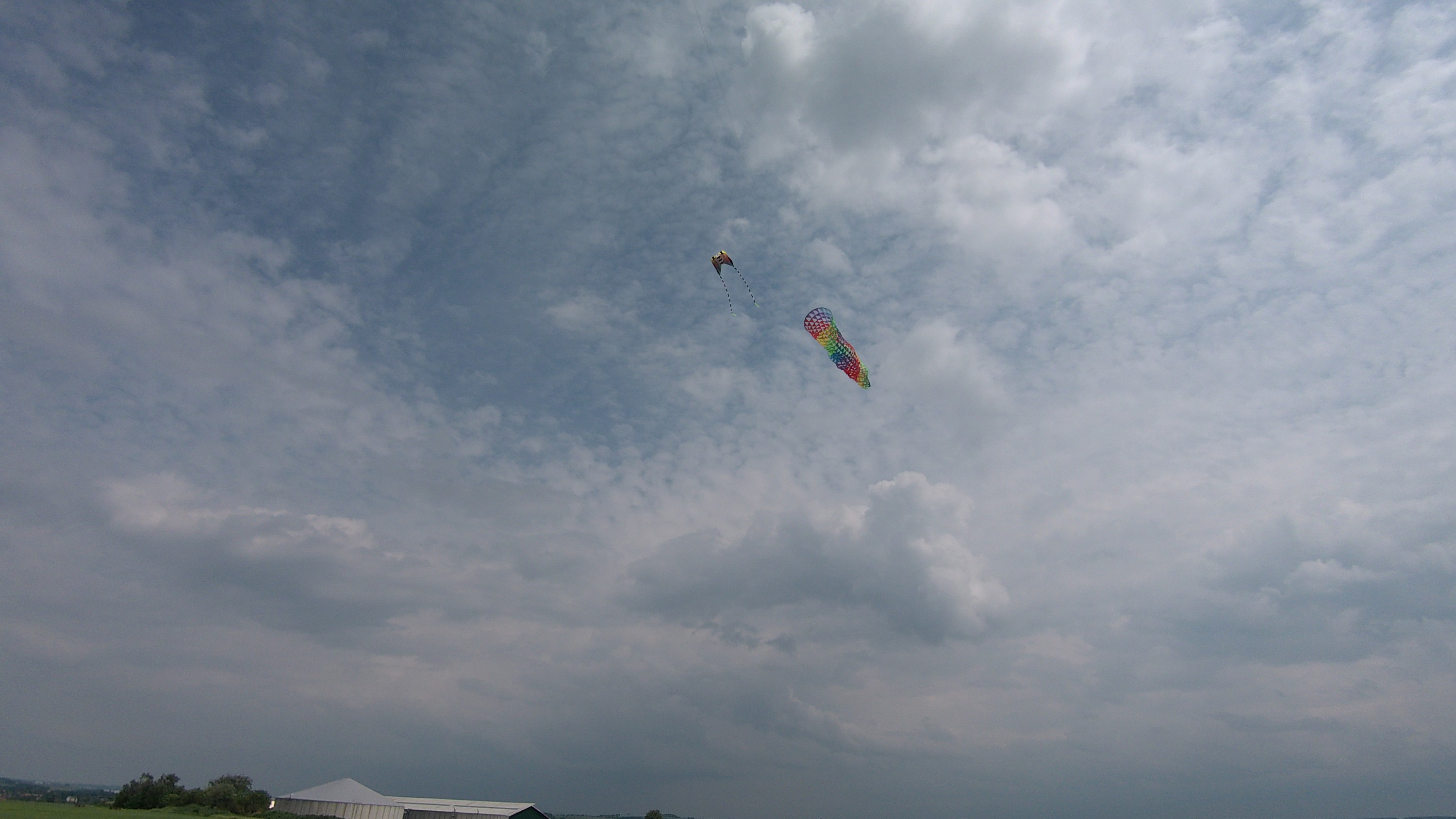 Mesh Spinning Tube rainbow