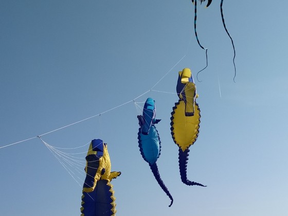 IMG_20181008_165328 (2)