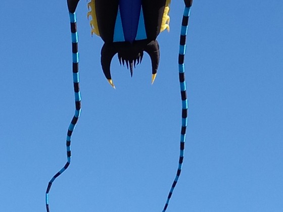 IMG_20181001_165059 (3)