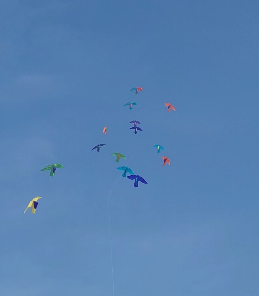 Vogelkette nach Rainer Neuner