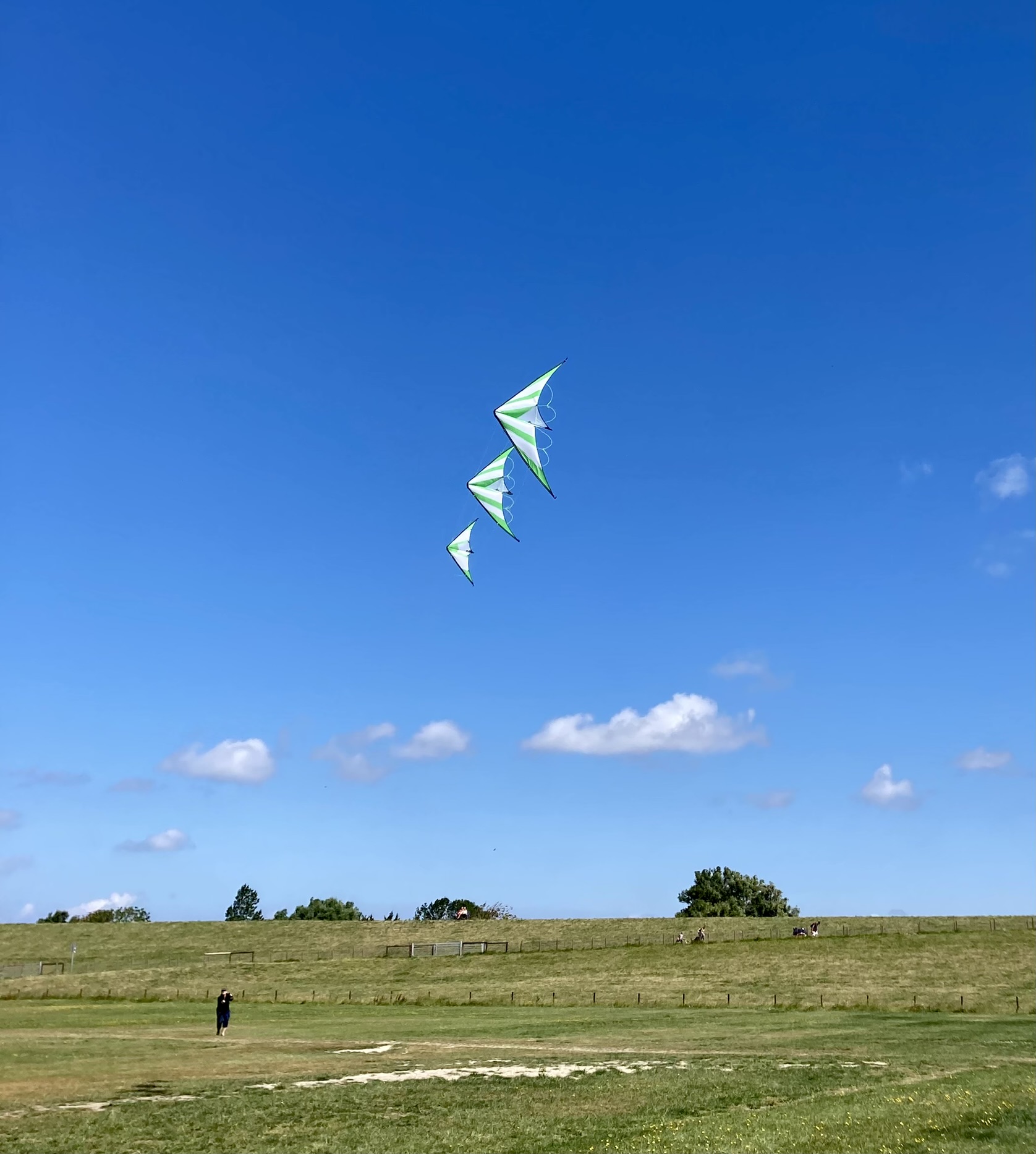 Erstflug meines Dreiergespann