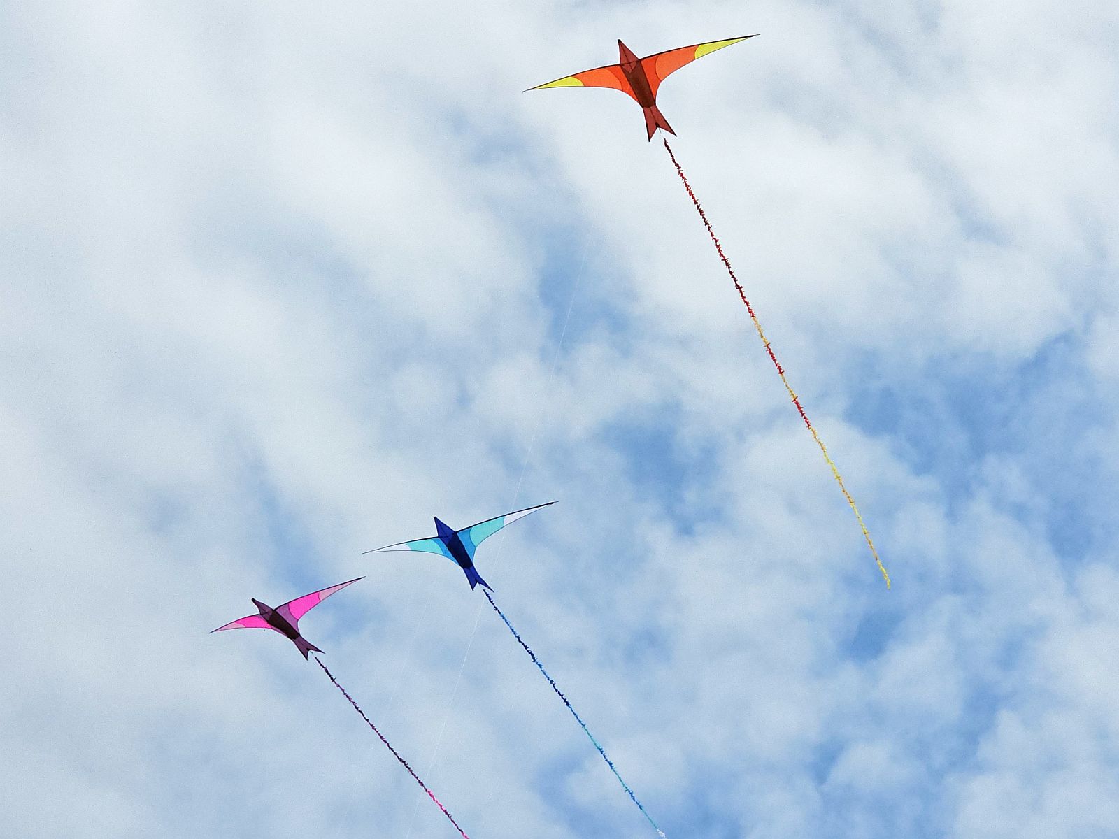 die Feuervogels unterwegs