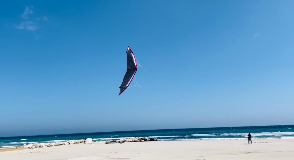 Whizz, summer 2022