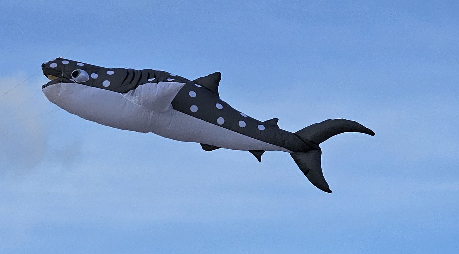 Walhai aus PLK-Kit beim Erstflug