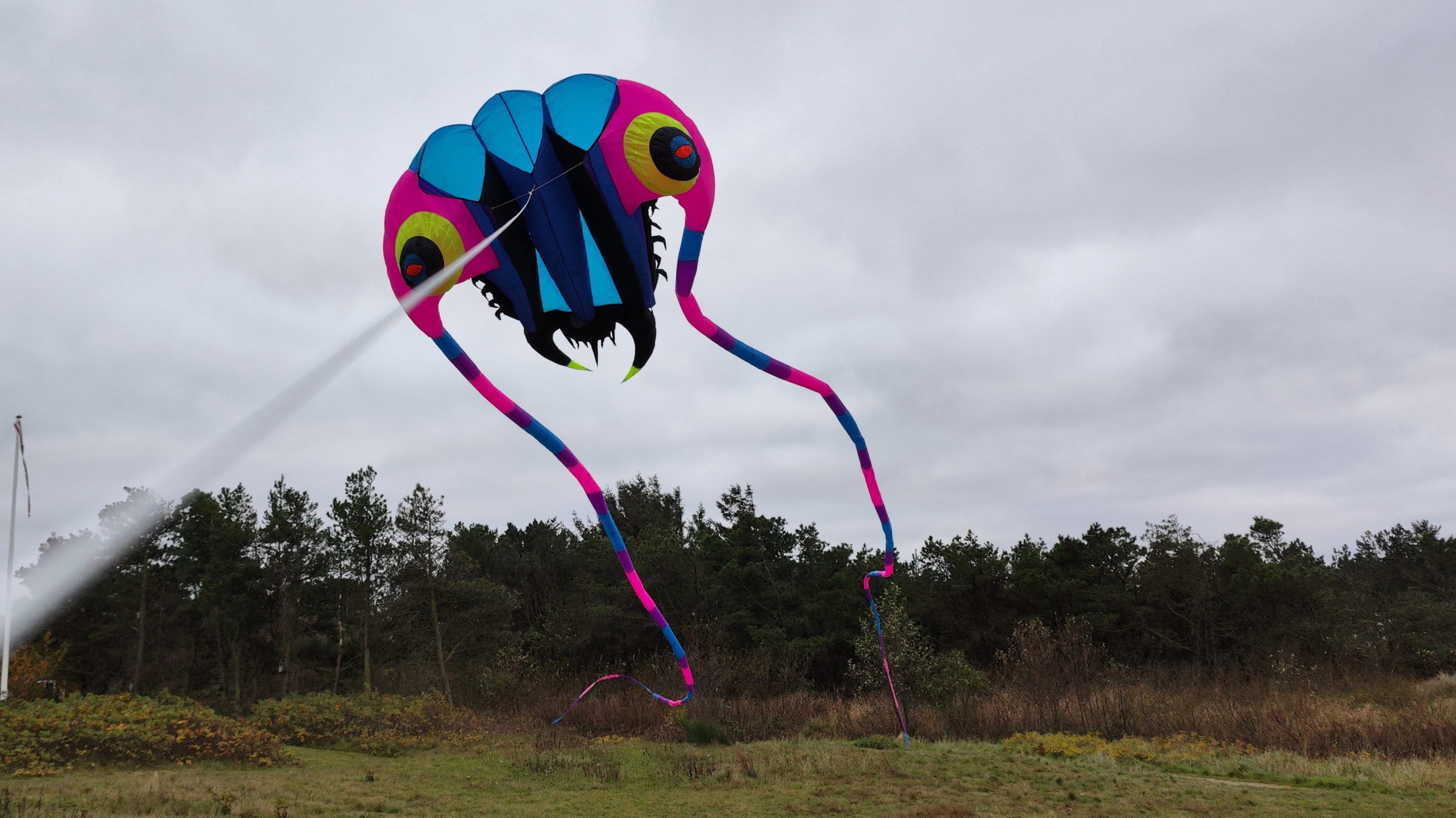 Trilobite Kite (10-pink/blau)