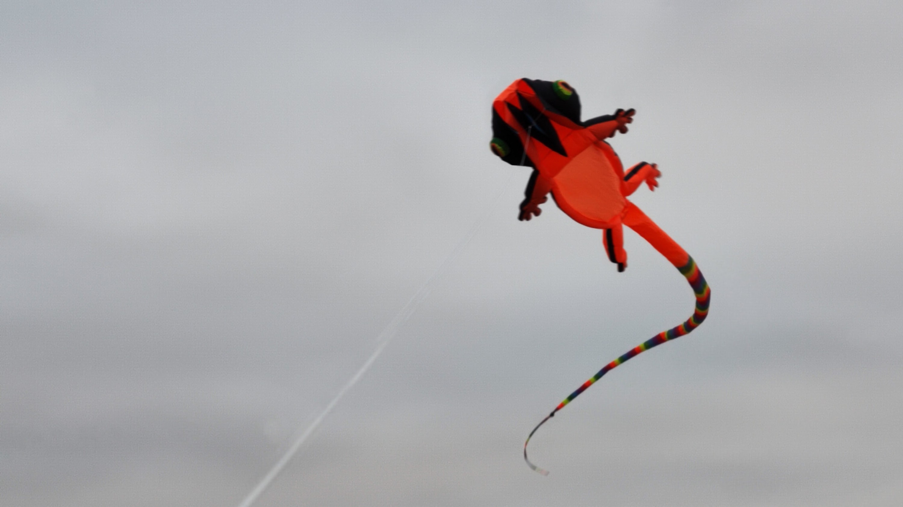 Lizard Gecko Kite (12m orange)