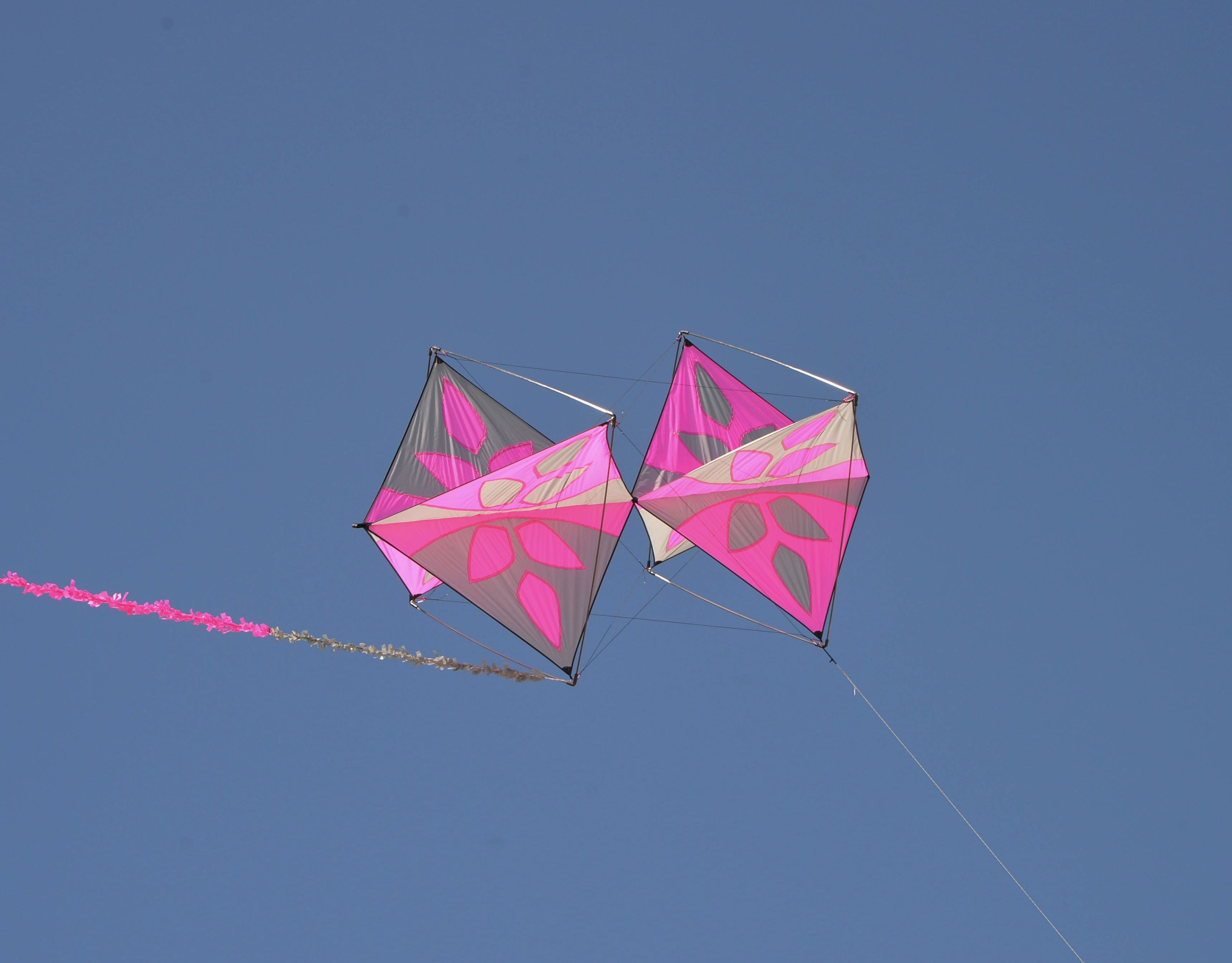 Rogallo Corner