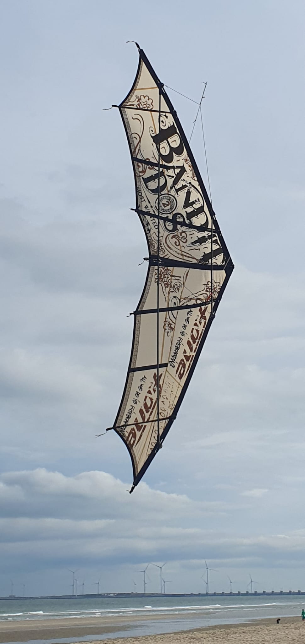 Berserk 220 upcycled Eigenbau