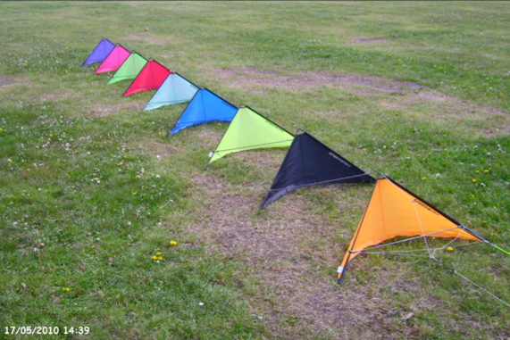 SPEEDWING 2010