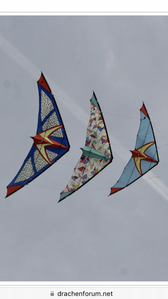 Steiki 2,5-3,0-3,5