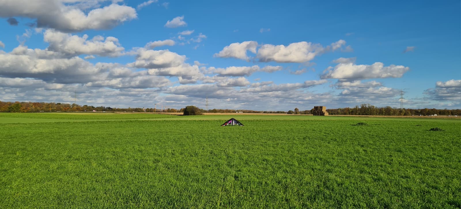 Elliot Mirage (ohne XL)