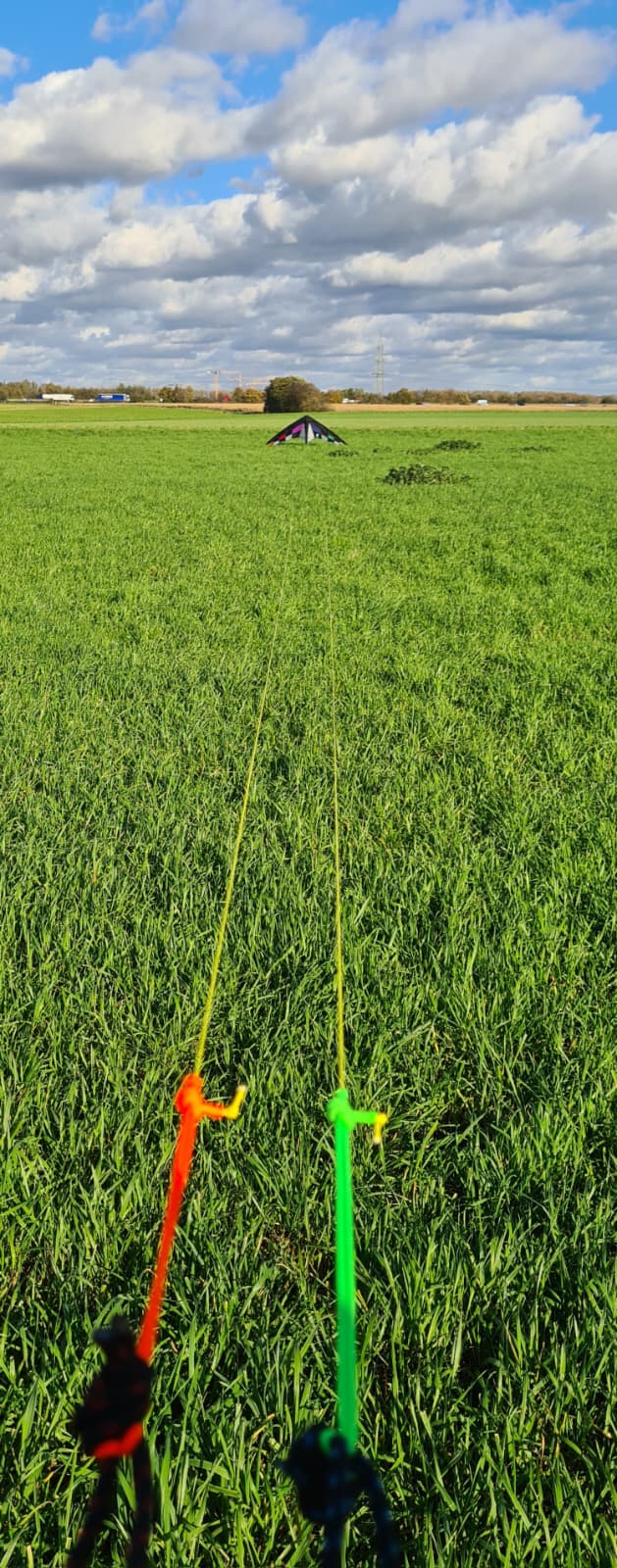 Elliot Mirage (ohne XL)