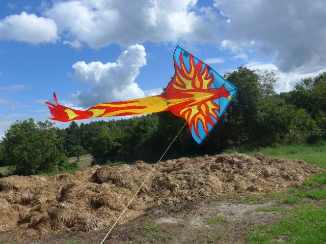 HQ Phoenix von Ahlerts