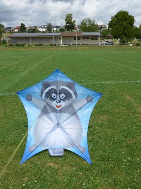 CIM Pentagon Waschbär