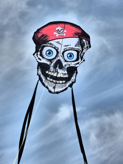 wiggle Skull Einleiner von Ahlerts