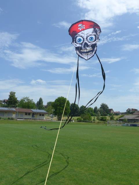 wiggle Skull von Ahlerts