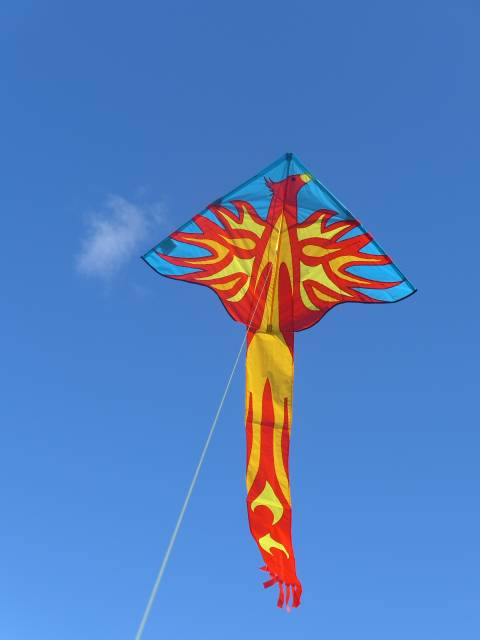 HQ Phoenix von Ahlerts