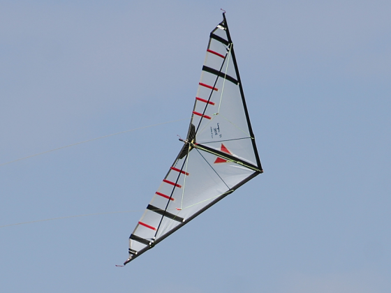 Cougar II Competition Mylar TS