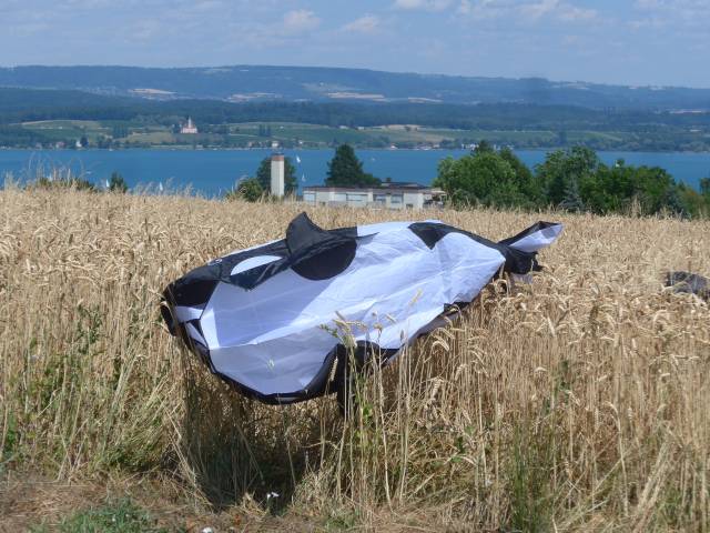 HQ Orca aus dem Weizenmeer gezogen