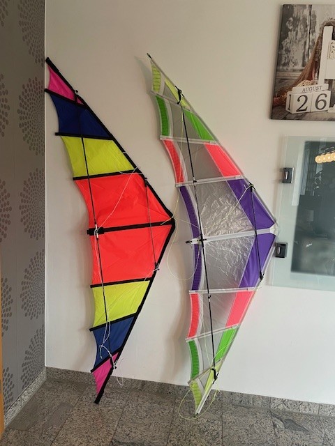 WildWing - Original und 2.0 (meine modernere Interpretation)