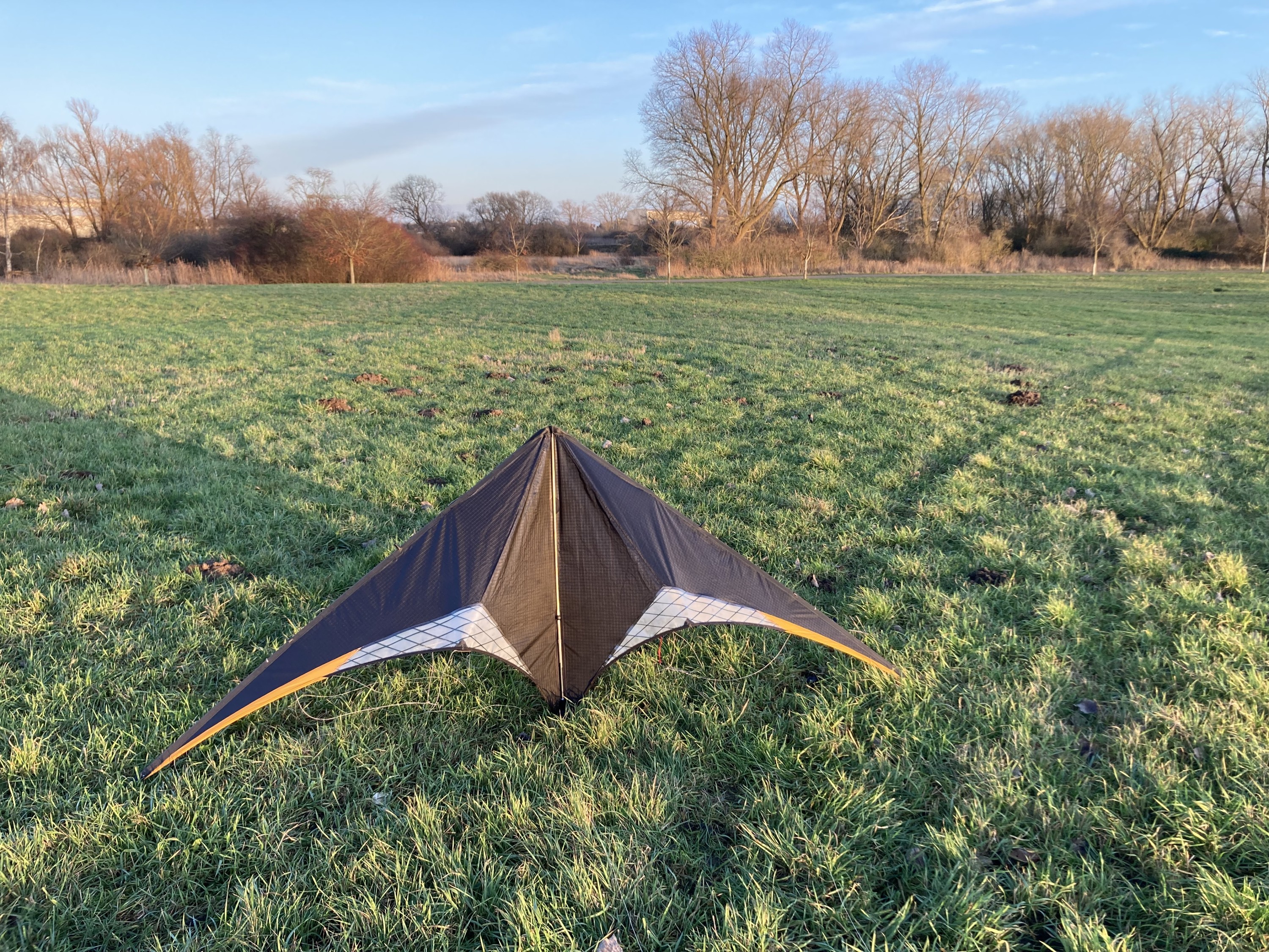 Curve mit goldenen Querrudern