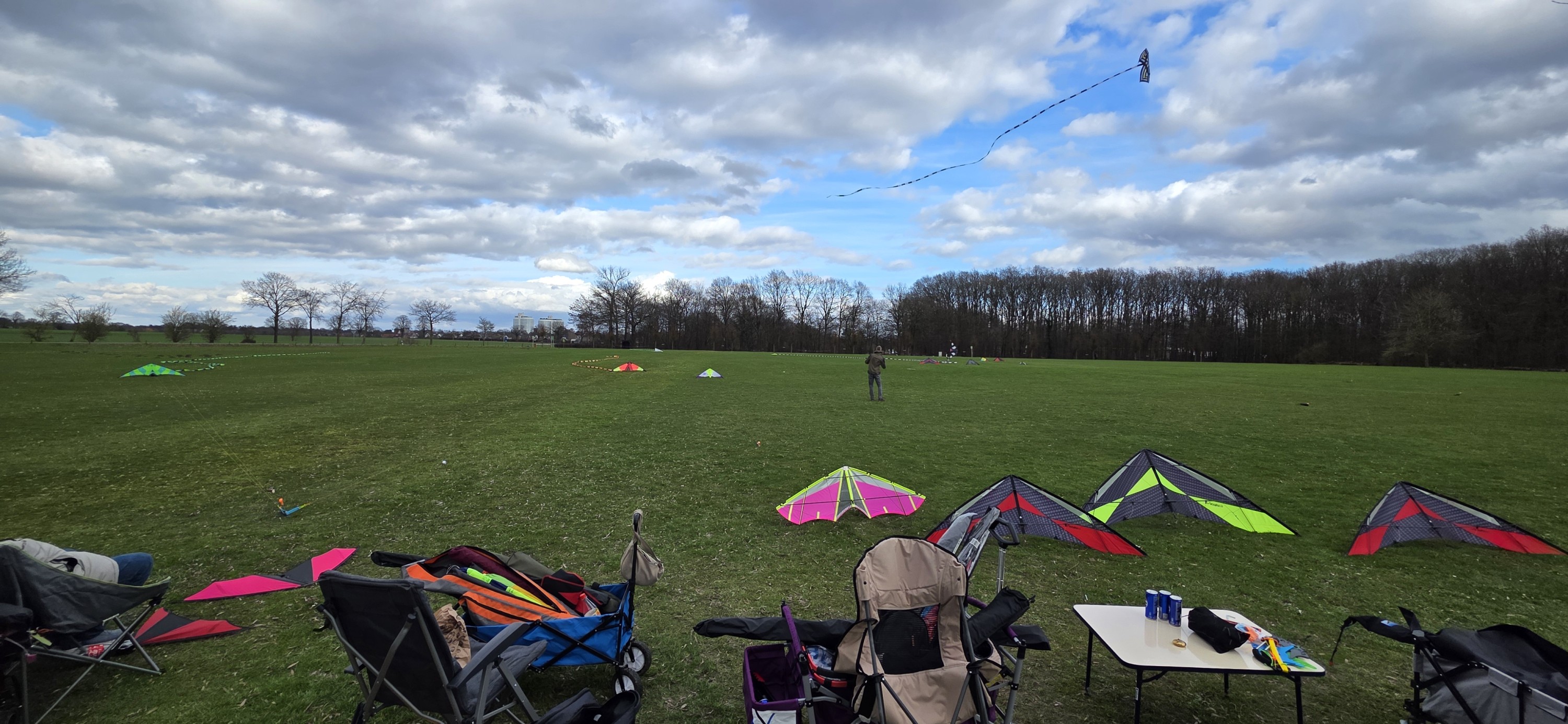Unser eigenes Drachenfest - Zooparkwiese Münster Allwetterzoo
