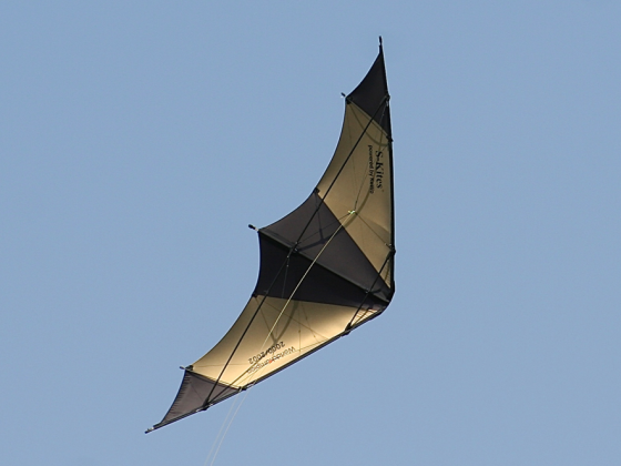 S-Kite 0.9 WM strong - Bild 2