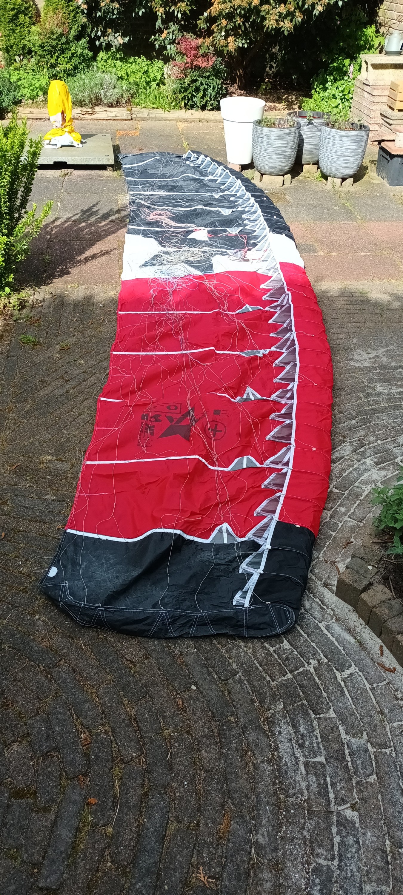 Born-Kite Racestar+ 5.0 von user mensch