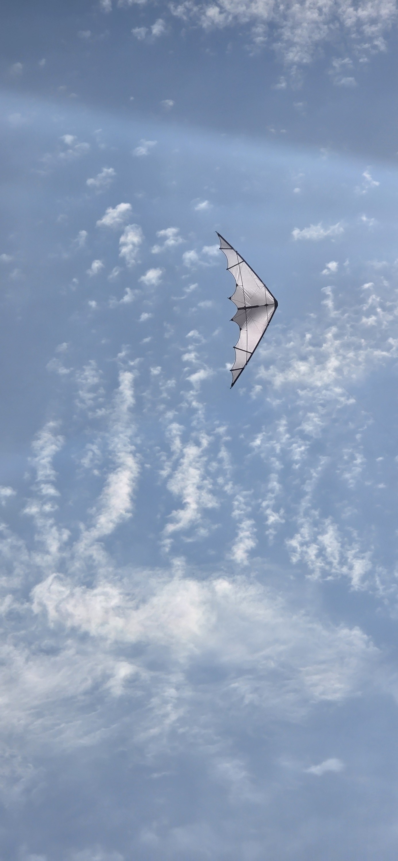 Schwarzer Space Kites X-Race 2.7 Light in Schillig