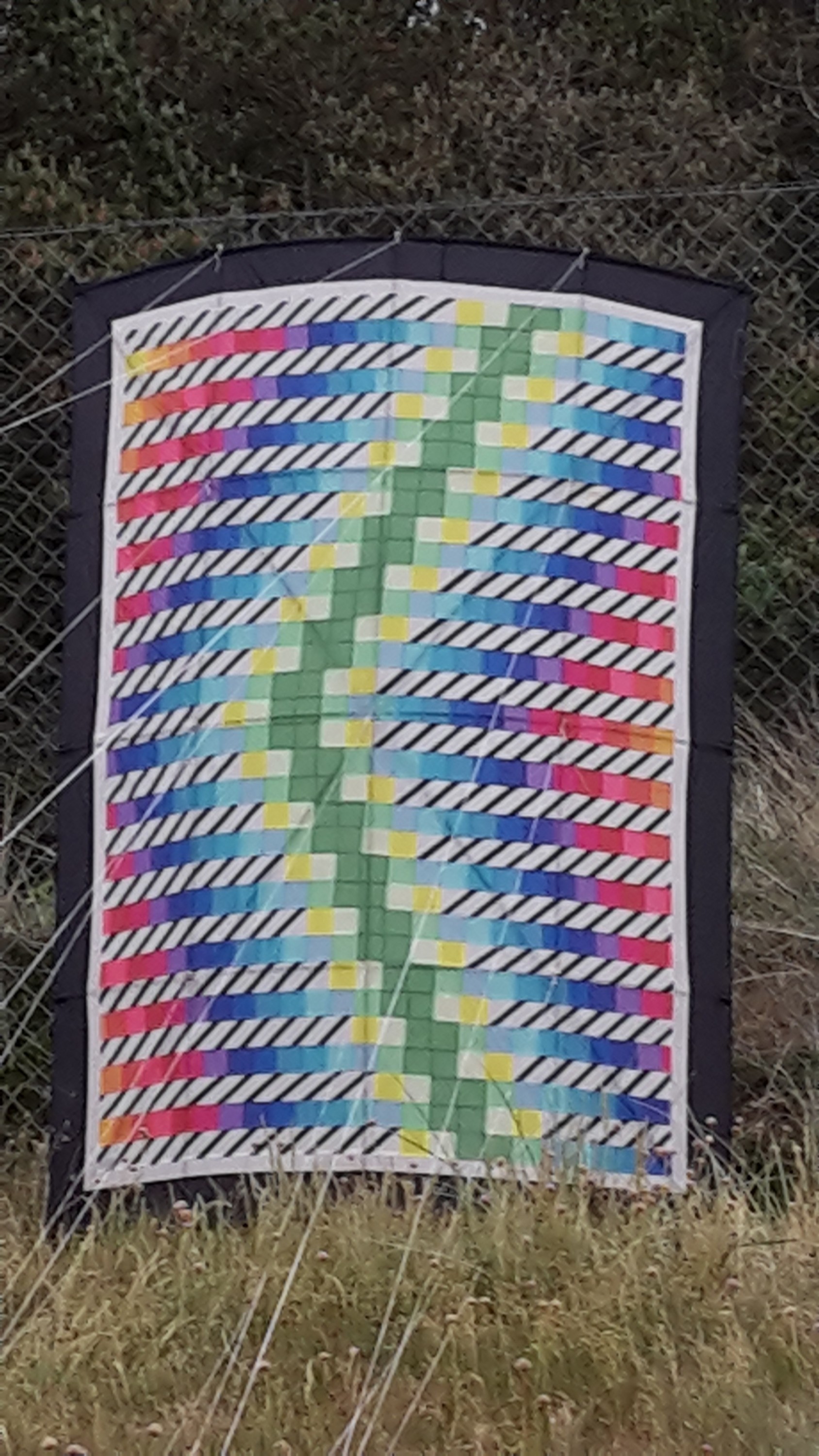 Edo