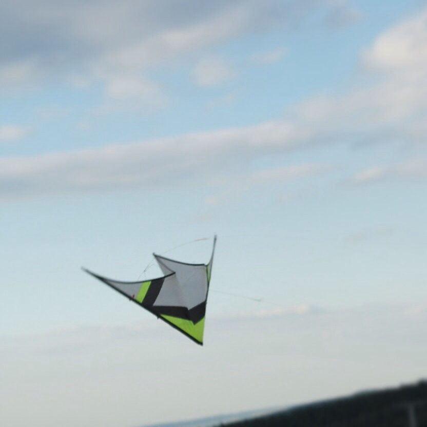 SUL