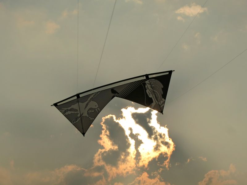 Mein erster German Masterpiece in Zusammenarbeit mit cengel-kites.de