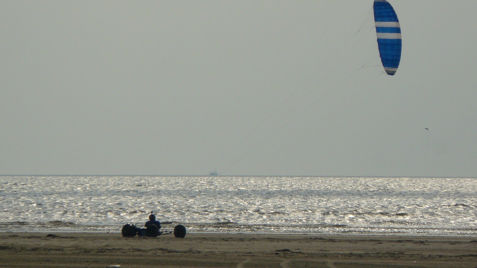 Fanø Buggystrand