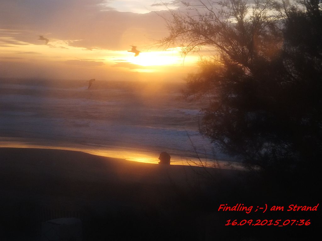 morning has broken