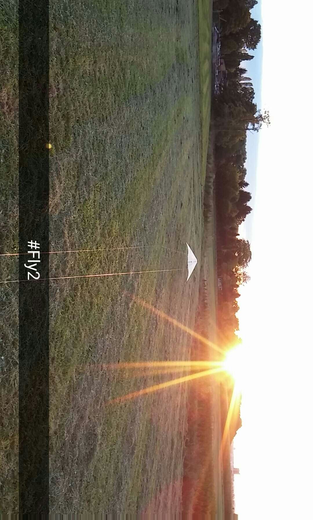 Ghost im Sonnenuntergang