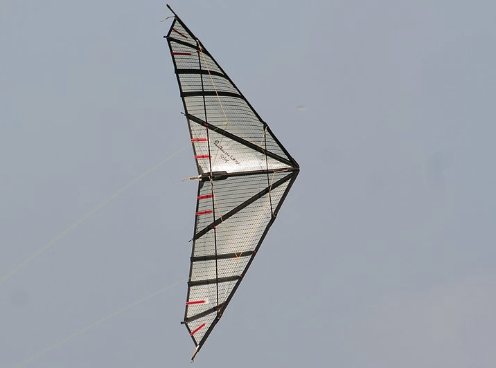 Panthère II Full Mylar by Long Duong