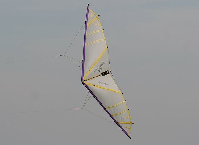 Epervier Competition by Long Duong, Bild 2