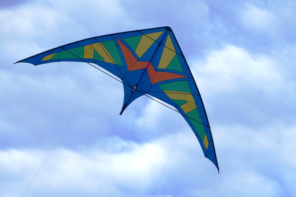 Flaki50_2
