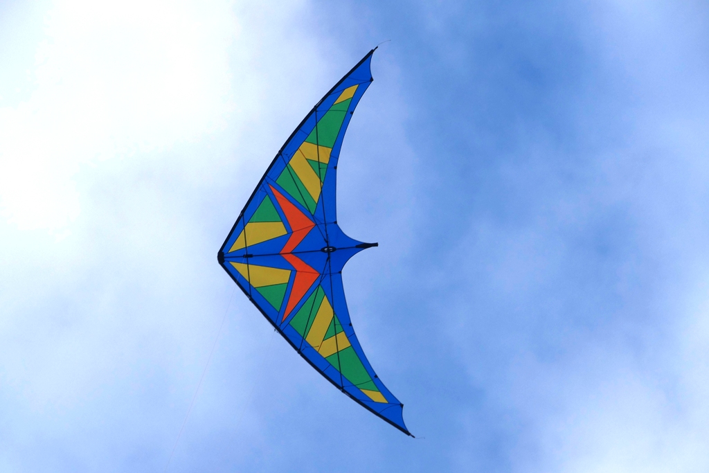 Flaki50_1