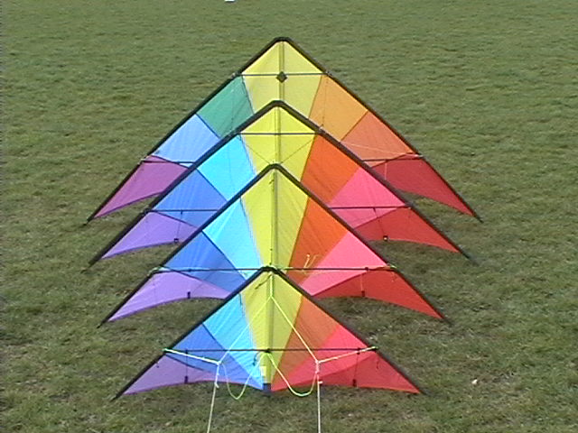4er Gespann Flizz Hawk Protrain 2006