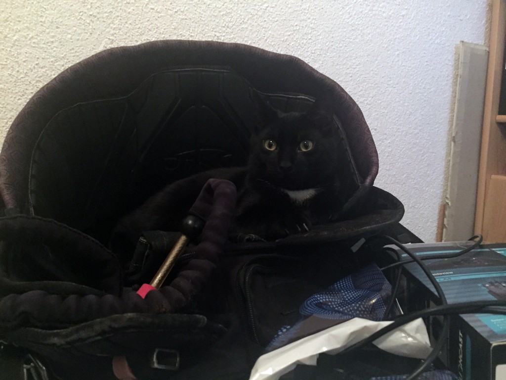 Unser neuer Mitbewohner
