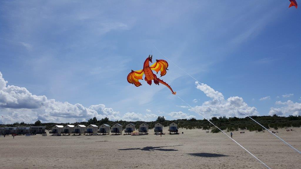 Tabrix in Vrowenpolder Zeeland